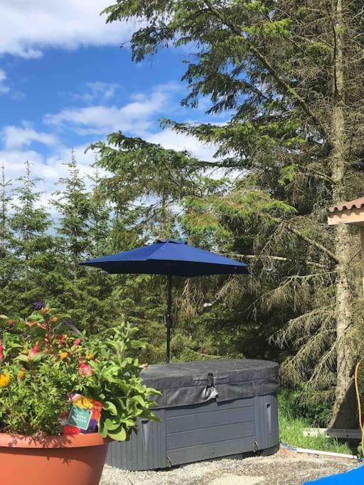 Bankhead Accommodation With Hot Tub Aberdeenshire Gamrie Exteriör bild